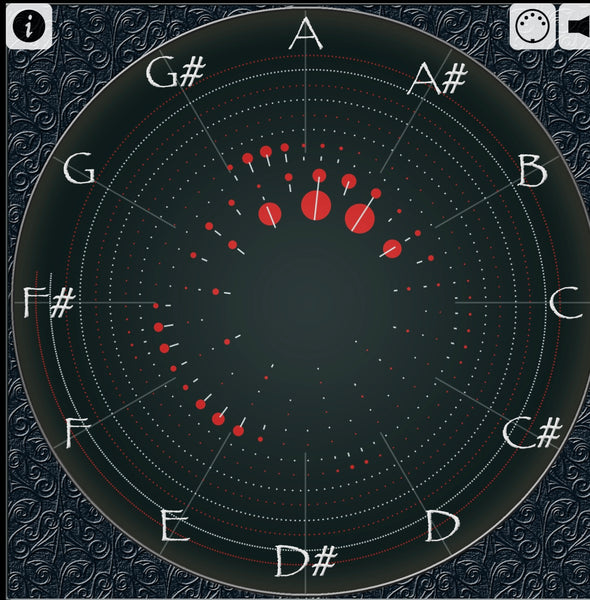 19" / 48cm Handheld Gong - Cymatic Mandala - Grotta Sonora
