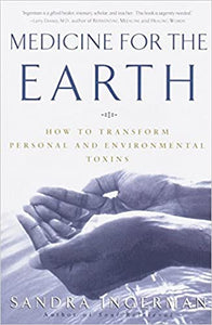 Medicine for the Earth - Sandra Ingerman