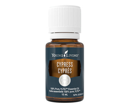 YL Cypress Essential Oil 15ml