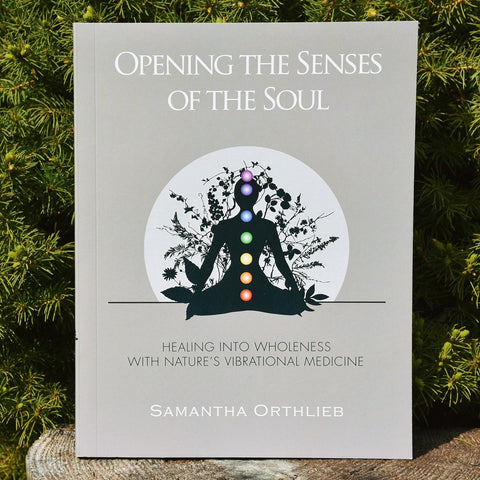 Opening the Senses of the Soul (Paperback)